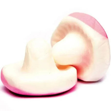 Two marshmallow candy shaped mushrooms pink and white on a white background